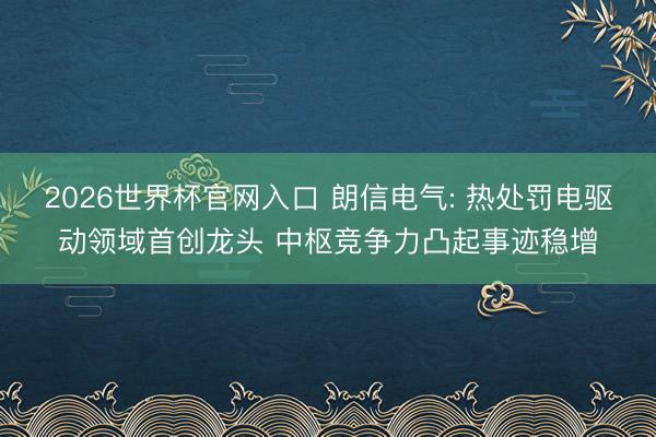 2026世界杯官网入口 朗信电气: 热处罚电驱动领域首创龙头 中枢竞争力凸起事迹稳增