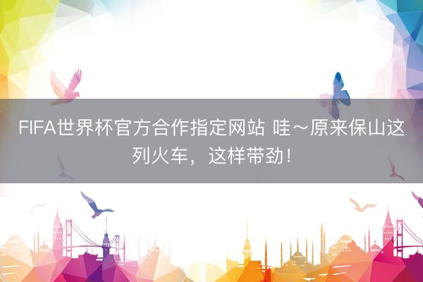 FIFA世界杯官方合作指定网站 哇～原来保山这列火车，这样带劲！