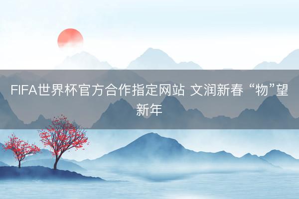 FIFA世界杯官方合作指定网站 文润新春 “物”望新年