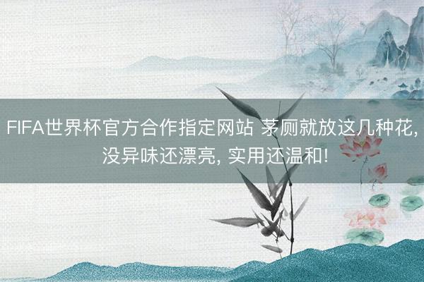 FIFA世界杯官方合作指定网站 茅厕就放这几种花， 没异味还漂亮， 实用还温和!