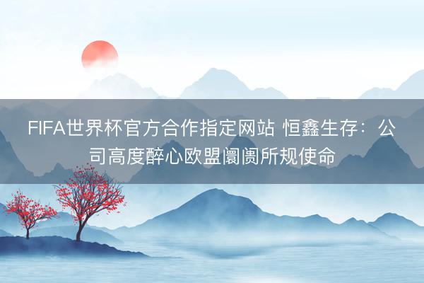 FIFA世界杯官方合作指定网站 恒鑫生存：公司高度醉心欧盟阛阓所规使命